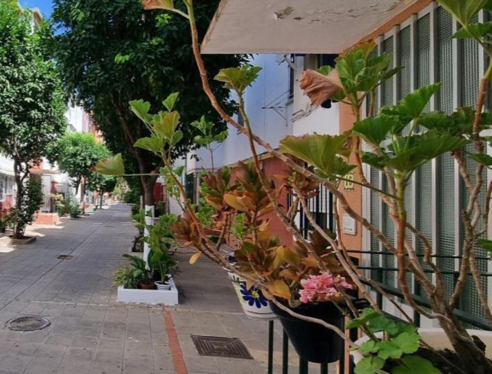شقة Apartamento Triana إشبيلية المظهر الخارجي الصورة